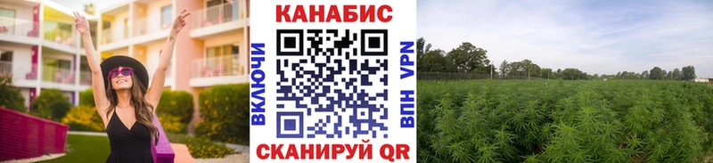 omg как зайти Красный Кут Бошки Шишки тримм